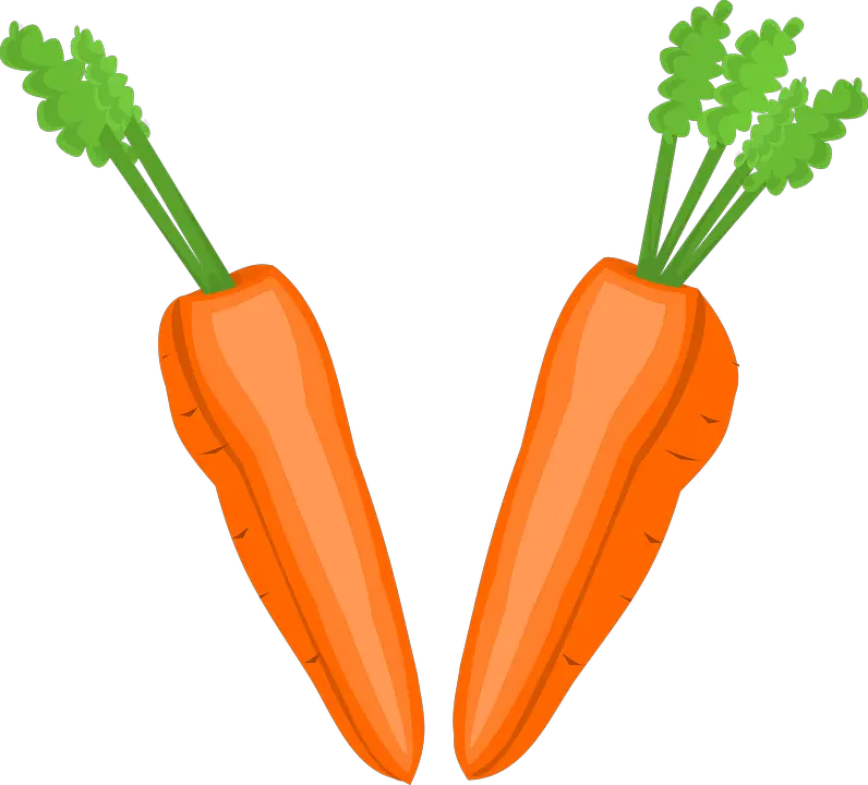 Vector Graphic Carrot Cut Greens Half Hearty  HD Free Download