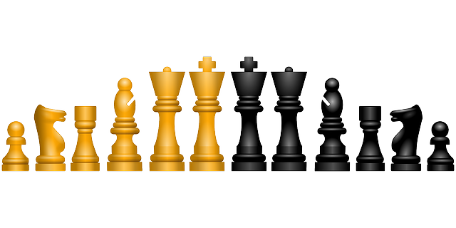 Vector Graphic Chess Figures Game Play  HD Free Download