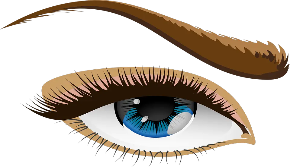 Vector Graphic Eye Blue Eyes Eyelid Iris  HD Free Download