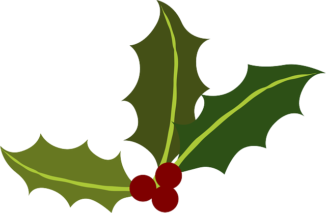 Vector Graphic Green Holly Berries Christmas  HD Free Download