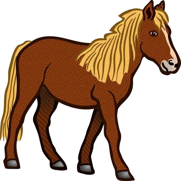 Vector Graphic Horse Animal Farm Animal Brown  HD Free Download