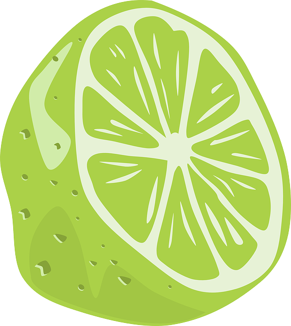 Vector Graphic Lime Fruit Food Acidic Citrus Image   HD Free Download
