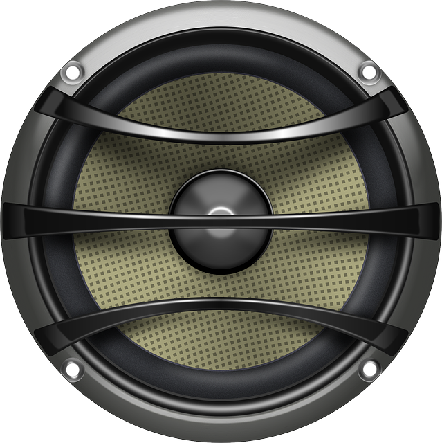 Vector Graphic Speaker Loudspeaker Audio  HD Free Download