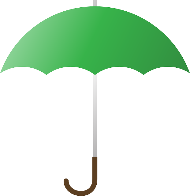 Vector Graphic Umbrella Cover Rain Green  HD Free Download