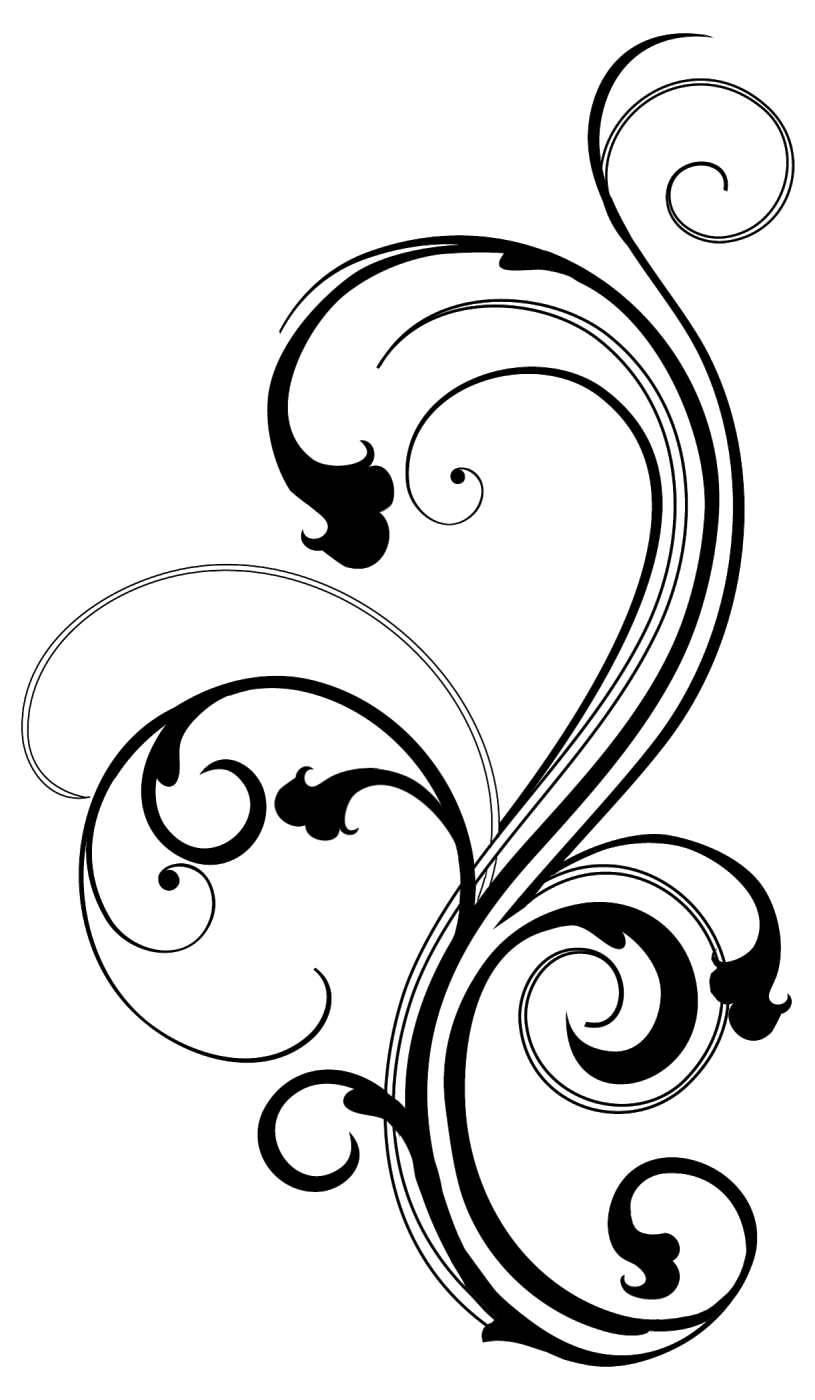Vektor Bunga Gambar Bunga Floral Pattern Transparent Fauzi Blog  HD Free Download