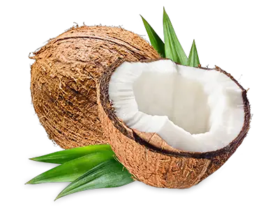 Vitasoy Coconut Milk Unsweetened Vitasoy  HD Free Download
