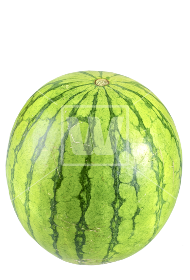 Watermelon PNG High Resolution PNG Image From  HD Free Download