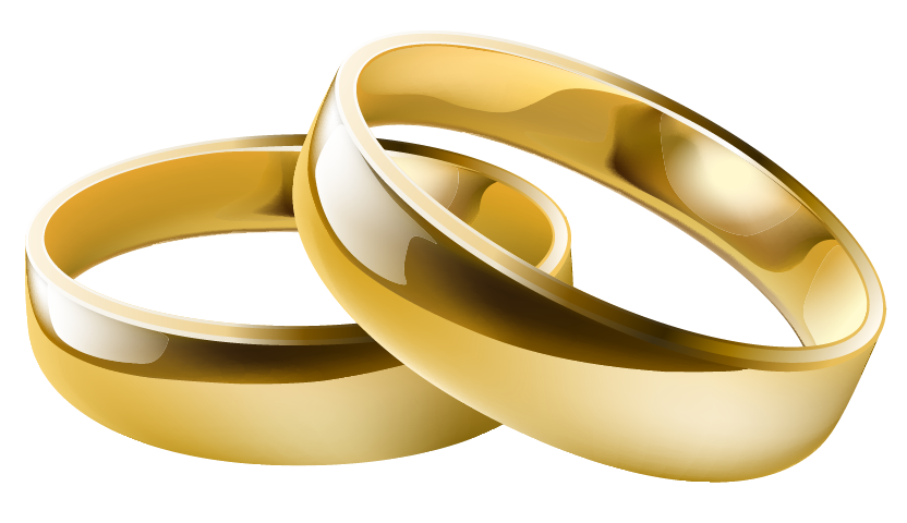 Wedding Ring PNG Rings Wedding Transparent Rings Wedding Images  HD Free Download