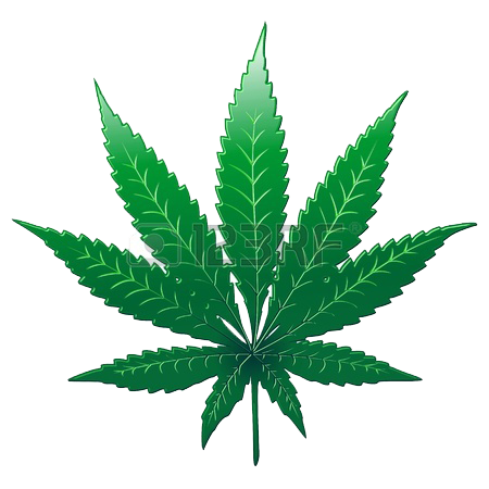 Weed Leaf Pot Leaf PNG  HD Free Download