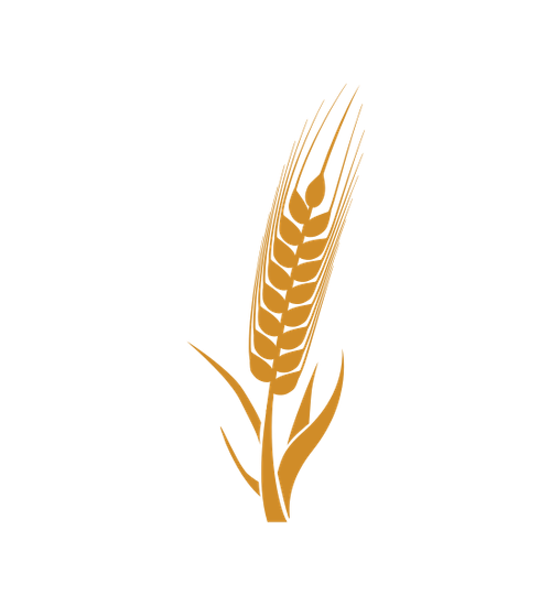 Wheat Premium Agriculture Icons Canva  HD Free Download