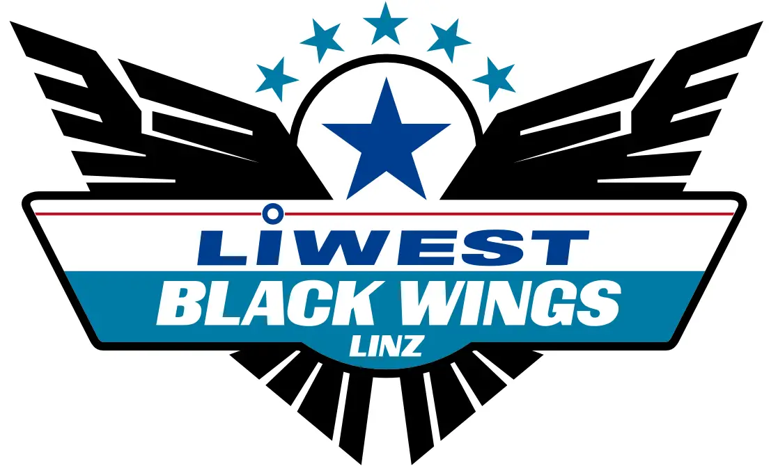 Liewst Black Wings PNG Transparent Logo HD Free Download