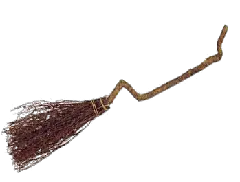 Witch Broom Witches Broom Stick Transparent  HD Free Download