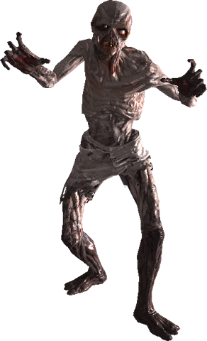 Zombie Halloween Graphics  HD Free Download